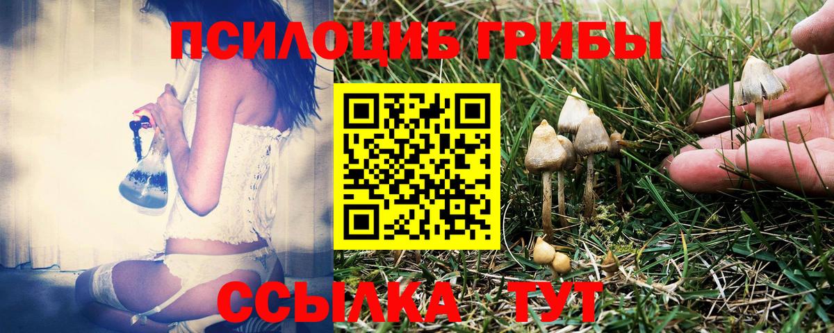 Галлюциногенные грибы Cubensis  Вход с VPN  Спасск-Дальний 